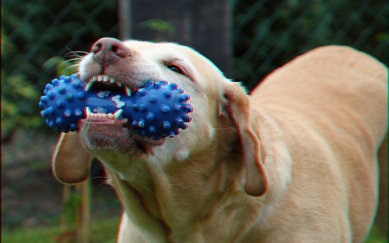 Photographs - Anaglyph